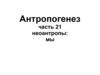 Антропогенез. Неоантропы: мы