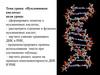 Нуклеиновые кислоты