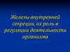 Железы внутренней секреции, их роль в регуляции деятельности организма