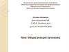 Общие реакции организма