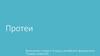 Протеи. Причины возникновения инфекций, вызванных протеем