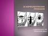 20 Морфологических признаков