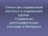 Семья, как социальный институт и социальная группа. Социально-демографическая ситуация в Беларуси