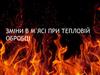 Зміни в м᾽ясі при тепловій обробці. Лекція 10,11