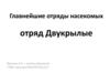 Насекомые. Отряд двукрылые. Мухи, комары