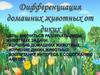 Дефференация диких животных от домашних