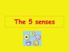 The 5 senses