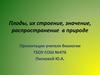 Плоды, их строение, значение, распространение в природе