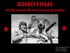 Животные на Великой Отечественной войне