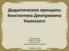Дидактические принципы Ушинского К.Д