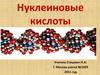 Нуклеиновые кислоты