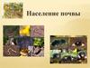 Обитатели почвы