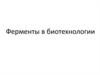 Ферменты в биотехнологии