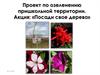 Проект по озеленению пришкольной территории