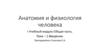 Анатомия и физиология человека. Введение. Тема 1