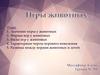 Игры животных