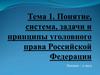 Понятие, система, задачи и принципы уголовного права Российской Федерации.  Тема 1