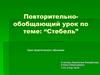 Повторительно- обобщающий урок по теме: “Стебель”