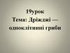 Дріжджі - одноклітинні гриби