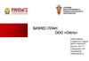 Бизнес-план ООО «Ostris»