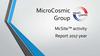 MicroCosmic Group McSite™ activity Report 2017 year