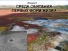 Среда обитания первых форм жизни. Происхождение нуклеотидов и РНК