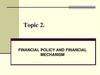 Financial policy and financial mechanism