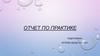 Отчет по практике. Кафедра педагогики и психологии экстремальных ситуаций. Этапы
