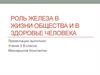 Роль железа в организме человека