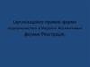Організаційно-правові форми підприємства в Україні. Колективні форми. Реєстрація