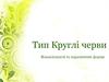 Тип Круглі черви. Вільноіснуючі та паразитичні форми