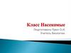 Класс насекомые. Муравьи