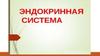 Эндокринная система