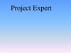 Project Expert. Описание программы