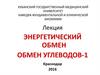Энергетический обмен. Обмен углеводов