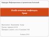 Особо опасные инфекции. Чума