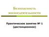 Безопасность жизнедеятельности. Практическое занятие № 1