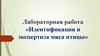 Идентификация и экспертиза мяса птицы