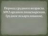 Период грудного возраста. АФО органов пищеварения. Грудное вскармливание