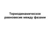 Термодинамическое равновесие между фазами
