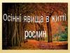 Осінні явища в житті рослин