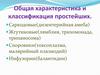 Общая характеристика и классификация простейших