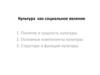 Культура, как социальное явление