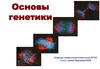 Основы генетики