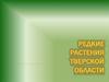 Редкие растения Тверской области