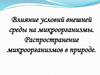 Влияние условий внешней среды на микроорганизмы. Распространение микроорганизмов в природе