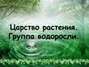 Царство растения. Группа водоросли