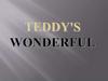 Teddy's wonderful