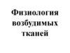 Физиология возбудимых тканей
