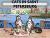 Cats in saint petersburg